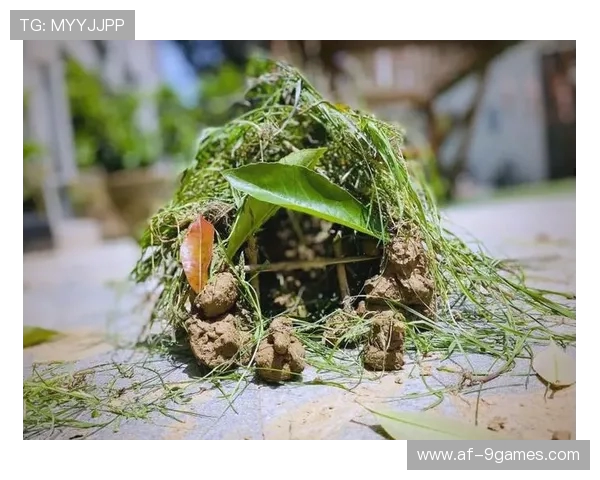 亲子共玩户外泥巴游戏推荐 激发孩子创造力和动手能力的趣味活动